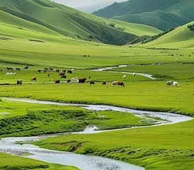 7 Tage Premium Geführter Reiturlaub in China: Pekinger Wahrzeichen, Graslandpfade und Reitkultur - Photo 5