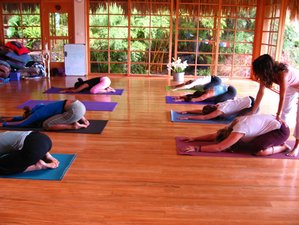 22 Tage 200-Stunden Vinyasa Yogalehrer Ausbildung in Montezuma, Puntarenas