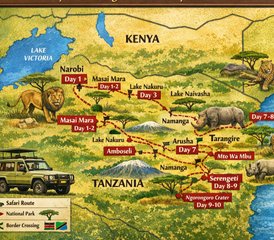 10 jours en stage de safari au Kenya et en Tanzanie - Photo 2