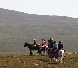 4 Tage Wohlfühl-Reiten in den Kebnekaise-Bergen - Photo 2
