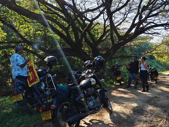 9 Day Serendipity in Serendip Guided Explorer Motorcycle Tour on Royal Enfield in Sri Lanka photo 8