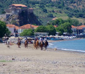 98 Day Authentic Greek Island Advanced Horse Riding Holiday in Molyvos, Lesbos, Greece - Photo 1