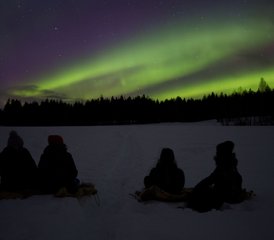 6 Tage Multi-Aktivitäten Winterreiturlaub in Svansele, Schwedisch-Lappland - Photo 2