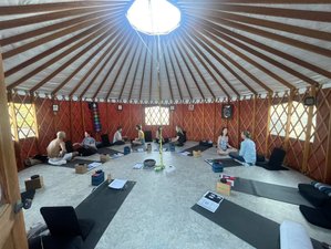 10 Tage 50-Stunden Yin und Restorative Yogalehrer Ausbildung im Pazifischen Nordwesten, Oregon, USA