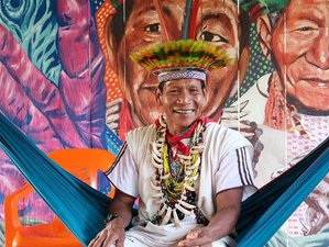 6 Day Healing & Spiritual Retreat with Ayahuasca Guided by a Jungle Elder in Sierra Nevada, Colombia