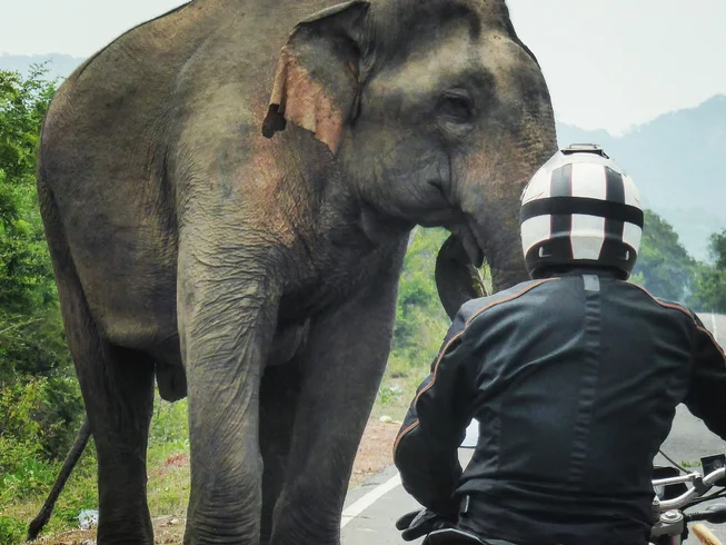 8 Day Explore Untouched Nature With a Guided Motorcycle Tour in Sri Lanka photo 9