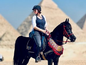 9 Day Horse Riding Holiday in Egypt (Deluxe Edition): Bahariya Oasis, Black & White Deserts, Luxor