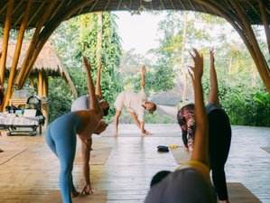 31 Day 300-Hour Advanced Hatha Yoga and Meditation Teacher Training in Bali, Ubud, Indonesia