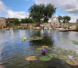 7 jours en retraite de yoga avec soins ayurvédiques dans les Pouilles, Italie - Photo 3