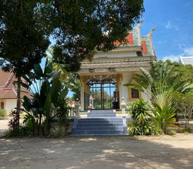 13 Day Wellness and Brain Reset Yoga Retreat in Koh Samui Island, Thailand - Photo 5