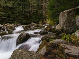 Bansko Retreats und Reisen