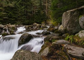 Bansko Retreats & Trips