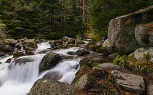 Bansko Retreats und Reisen