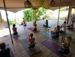 8 Day Immersive Yoga and Movement Retreat in Magical Pelion, Greece
