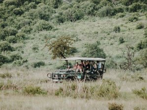 Guided Safaris