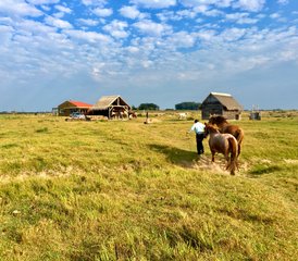 7 jours vacances équestres Los Chajá à Barra de Valizas, Rocha, Uruguay - Photo 2