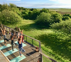 15 Day 200-Hour Yoga Teacher Training in Cape Cod, Massachusetts, USA - Photo 4