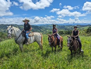 8 days Healing With Horses: Combining Horsemanship with Holistic Healing, Costa Rica