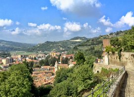 Piedmont Retreats & Trips