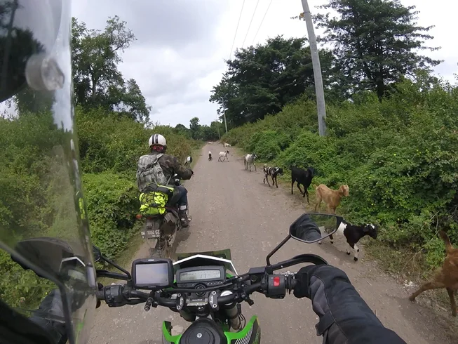 22 Day Bali Flores Guided Motorcycle Tour in Indonesia photo 5