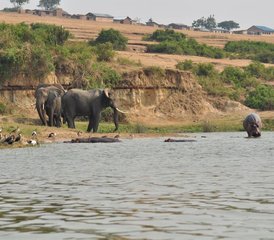 2 jours en stage de safari dans le parc national Queen Elizabeth, Ouganda - Photo 5