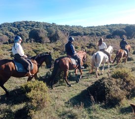 8 Tage Private, Erholen und Entspannen, Klangcoaching, Pferde und Yoga im Naturpark Grazalema, Spanien - Photo 2