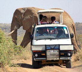 3-Daagse Safari naar Tsavo-Oost en Tsavo-West in Kenia vanaf Mombasa - Photo 4