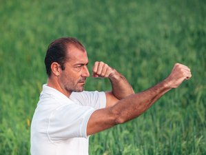 5 or 10 Sessions of Personalized Online Kung Fu Yi Quan Private Coaching for Everyone of All Levels