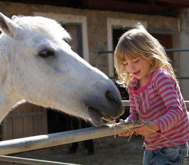 8 Day Fun Week Kids Horse Riding Holiday in Hersonissos, Crete, Greece - Photo 3