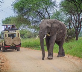 57 jours safari camping pour découvrir les Big Five de Tanzanie, Tanzanie - Photo 1