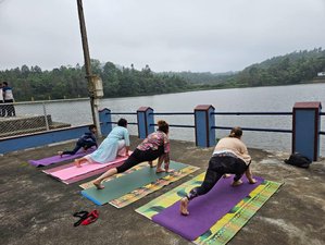 29 Day  Yogic NeuroBalance 