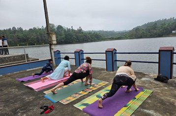 29 días de equilibrio neurológico yóguico