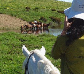 8 jours territoire du loup et des chevaux sauvages du Gerês : vacances équestres à Castro Laboreiro, Portugal - Photo 5