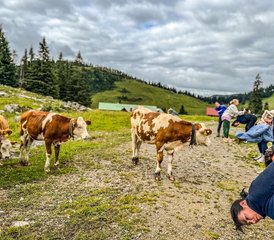 2-Daagse yoga en wandel retreat in de bergen, Beieren, Duitsland - Photo 5
