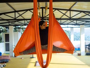 7 días de profesorado de yoga multiestilo con yoga aéreo de 50 horas en Goa, India