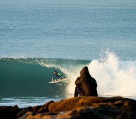 15 días de campamento de surf guiado en Tamraght, Agadir, Marruecos - Photo 2