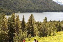 5 jours suivi de la faune et conservation à cheval en Colombie‑Britannique, Canada