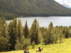 5-Daagse Wildvolg- en Natuurbeschermings Paardrijvakantie in British Columbia, Canada
