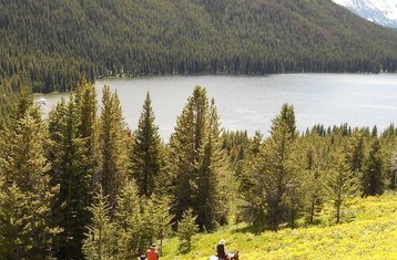 5 días de vacaciones de equitación para seguimiento de fauna y conservación en Columbia Británica, Canadá