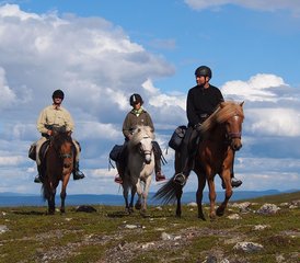 5 Tage Biellugis Trail Reittour in Schweden - Photo 3
