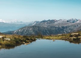 Schweizer Alpen Retreats und Reisen