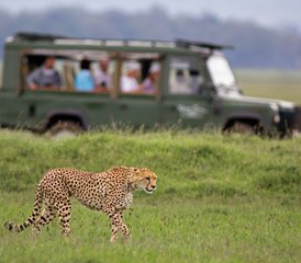 113-Daagse Budget Jeep Safari in het Hart van de Maasai Mara, Kenia - Photo 1