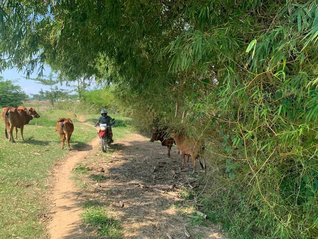 2 Day Motorcycle Tour: Hoi An Off-Road / Hill Tribe Village Adventures photo 3