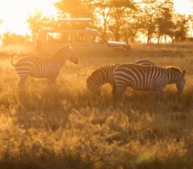 3 jours safari de la migration des gnous en Tanzanie, Tanzanie - Photo 5