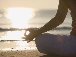 20 Day 200-Hour Hybrid Yin Yoga Therapy Teacher Training in Kalpitiya, Sri Lanka