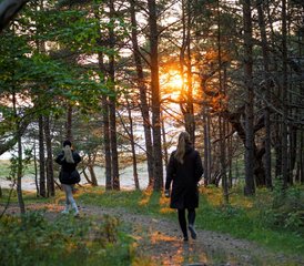 5 jours en stage de yoga nordique : découverte de soi et connexion avec les autres à Hiiumaa, Estonie - Photo 4