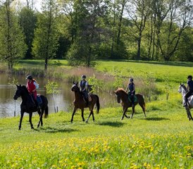 4 Day Exhilarating Horse Riding Holiday at Galiny Palace, Gmina Bartoszyce, Poland - Photo 4