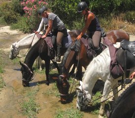 8 Tage Panorama-Reiturlaub mit Hotelunterkunft auf Kreta, Griechenland - Photo 4