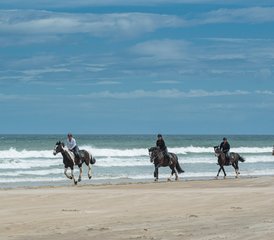 4-Daagse Op Maat Gemaakte Klassieke Paardrijavontuur aan de Causeway Kust in Ierland, Ierland - Photo 4