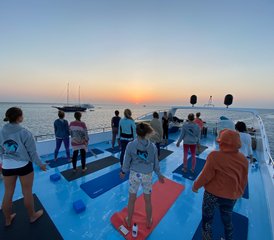 78 Tage Delfin Yoga Retreat - Schwimmen mit freilebenden Delfinen, Yoga und mehr in Ägypten - Photo 1